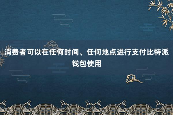 消费者可以在任何时间、任何地点进行支付比特派钱包使用