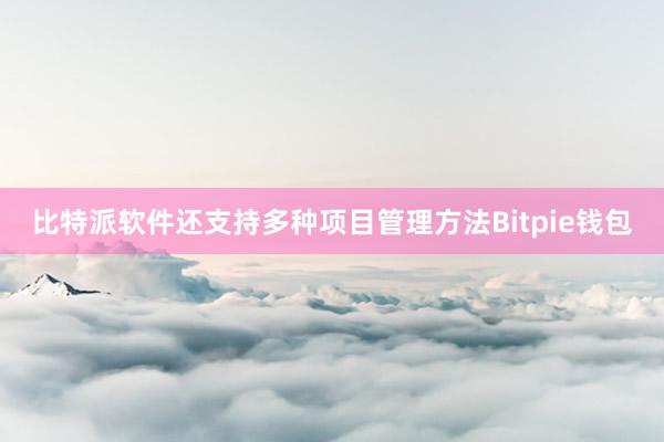 比特派软件还支持多种项目管理方法Bitpie钱包