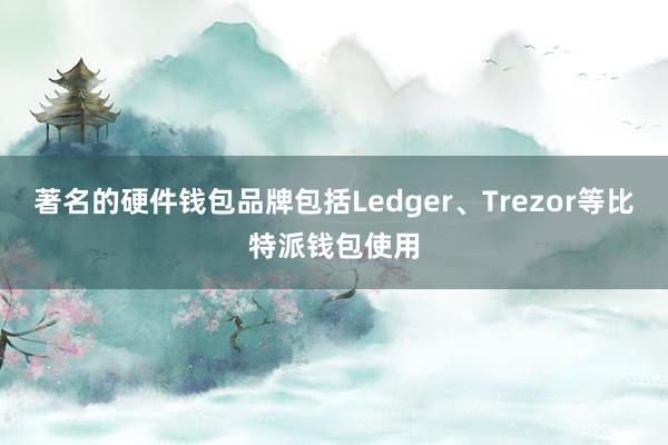 著名的硬件钱包品牌包括Ledger、Trezor等比特派钱包使用